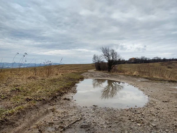 의도로 진흙탕 — 스톡 사진