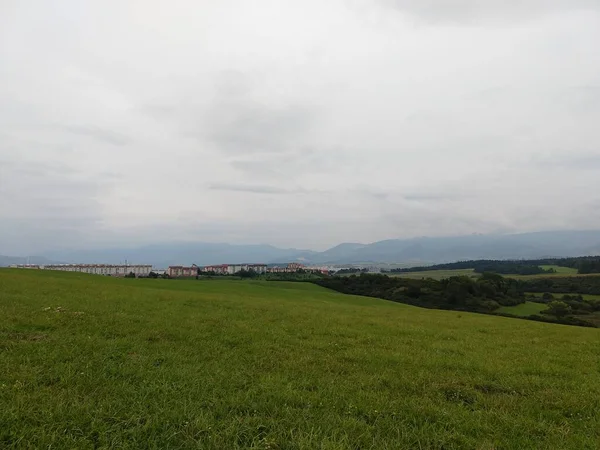 Prado Verde Con Árboles Montaña Fondo — Foto de Stock