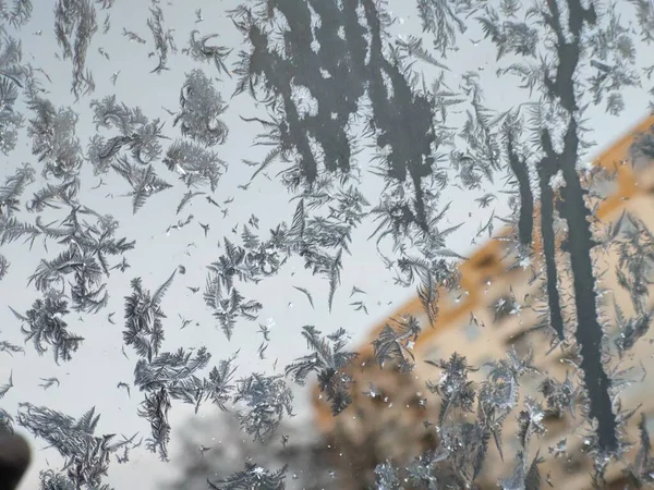 雪片屋車の窓を覆い — ストック写真