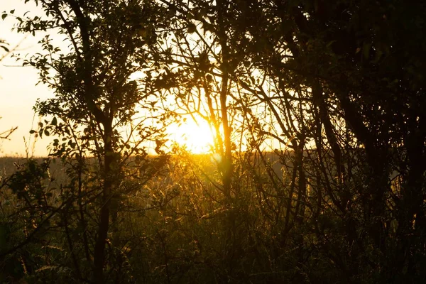 Piękny Widok Pole Zachodzie Słońca — Zdjęcie stockowe