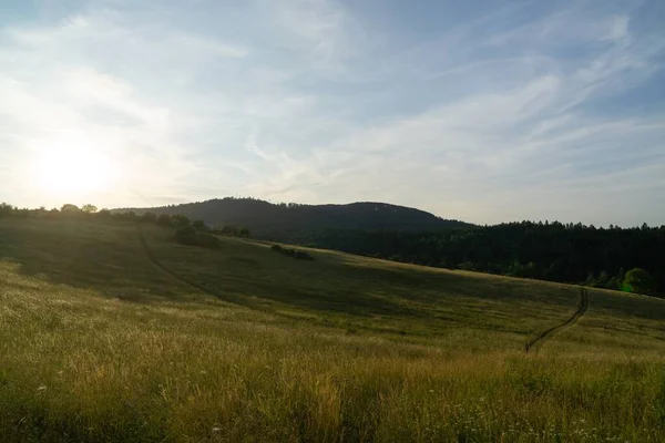 Beautiful View Field Sunset — Stock Photo, Image