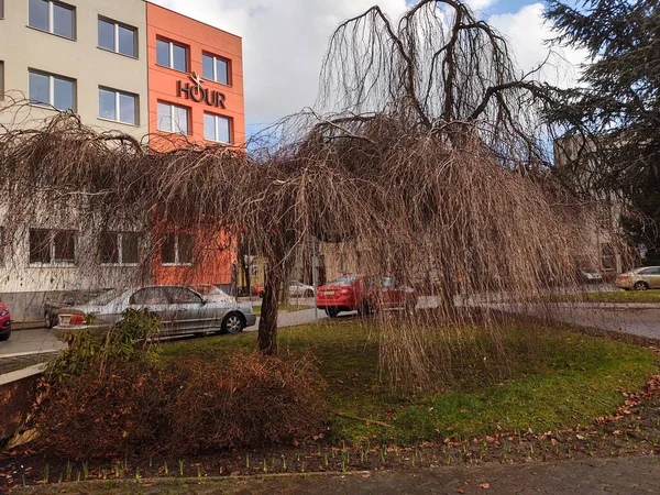 Légi Felvétel Európa Városáról — Stock Fotó