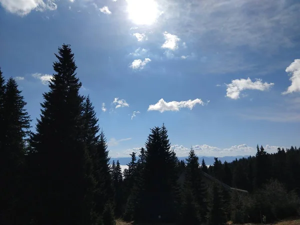 Mlhavé Ráno Výhledem Mlhu Louce Slovensko — Stock fotografie