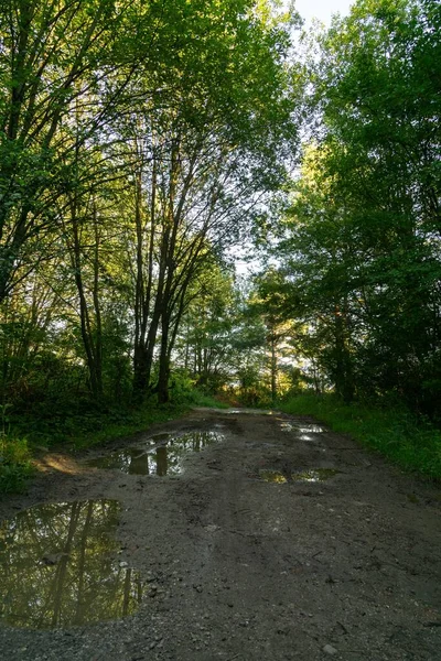 Puddles on road during rain. Slovakia