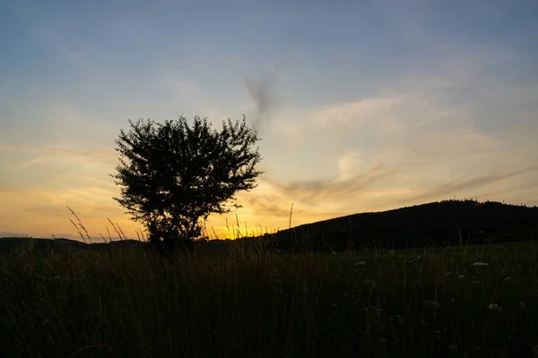 Bella Vista Sul Campo Tramonto — Foto Stock