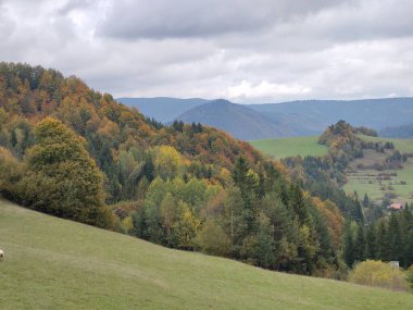 Ağaçları ve dağları olan bir çayır. Slovakya