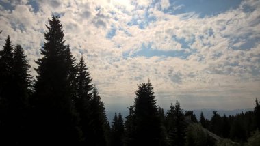 Güneşli bir günde ormanda sihirli ağaçlar. Slovakya