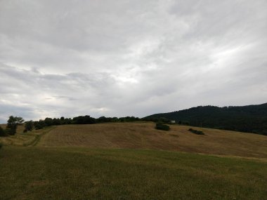 Karpat dağlarının gündüz görüntüsü