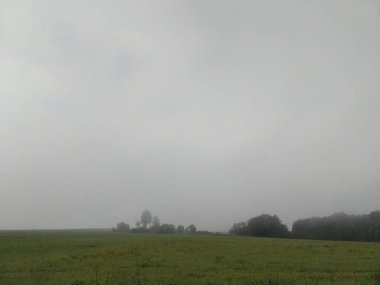 Ağaçlı ve manzaralı çayırda güzel bir sabah. Slovakya