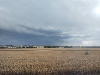 Sabah tarlaları bomboş. Slovakya