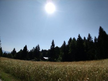 Karpat dağlarının gündüz görüntüsü