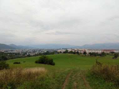 Ağaçlı yeşil çayır ve arka planda dağ