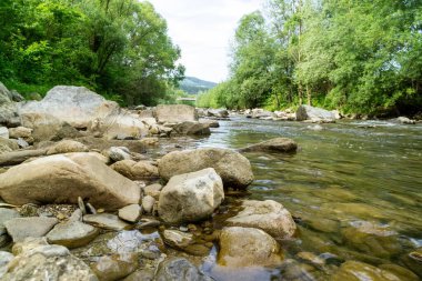 Bahar doğasında göl. Slovakya