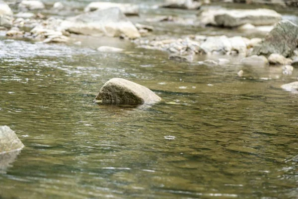 Meer Lente Natuur Slowakije — Stockfoto