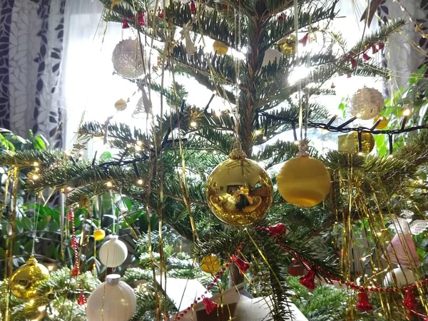 Décorations Noël Sur Arbre Slovaquie — Photo