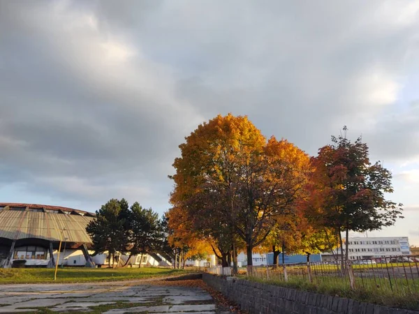 Arka Planda Güzel Bir Sonbahar Parkı — Stok fotoğraf