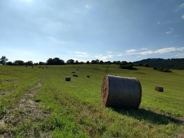 Hay bales on the meadow during autumn. Slovakia