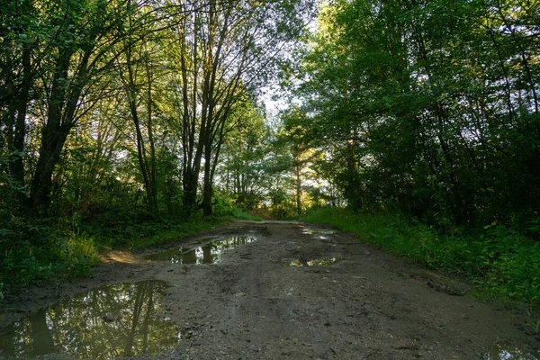 Puddles on road during rain. Slovakia