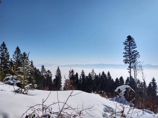 Belíssimo Inverno Montanha Neve Caminho Davos Switzerland Alpes Suíços — Fotografia de Stock