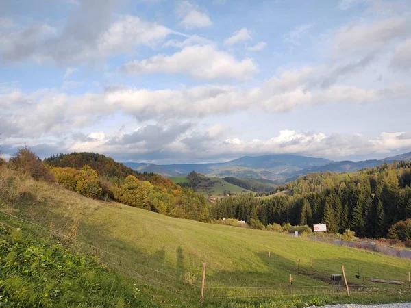 Grasveld Met Bomen Uitzicht Bergen Slowakije — Stockfoto