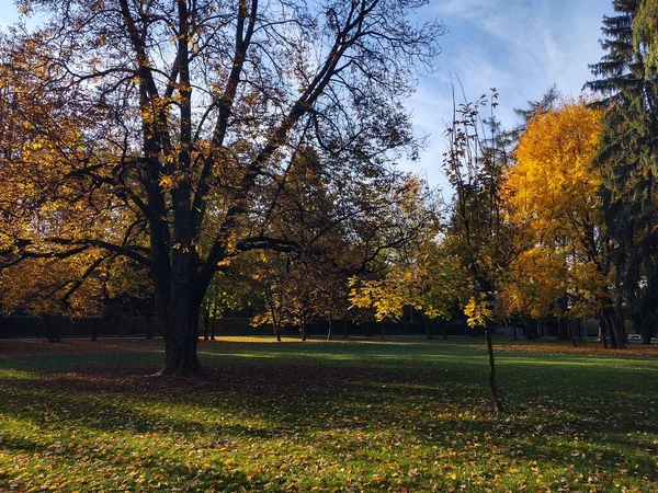 Piękny Jesienny Park Tle — Zdjęcie stockowe