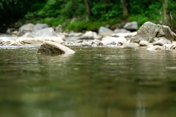 Lago Nella Natura Primaverile Slovacchia — Foto Stock