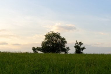Renkli bulutlarla gün batımı ve gün doğumu. Slovakya