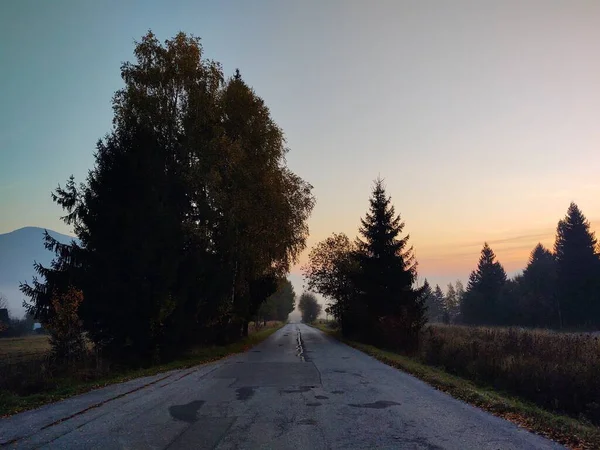 スロバキアの秋の木 — ストック写真