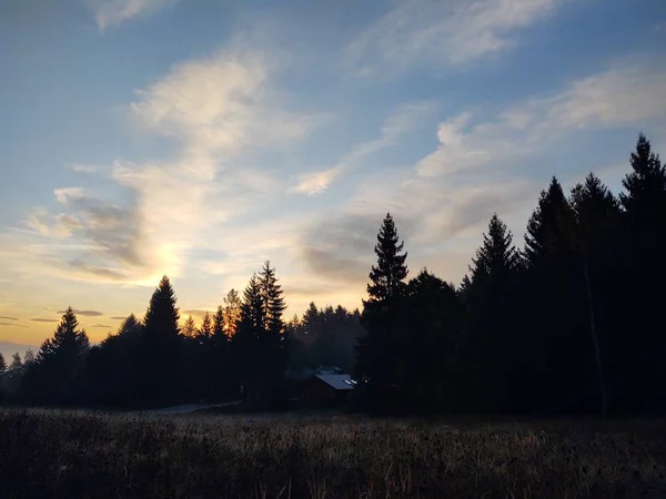 Zauberwald Nebel Slowakei — Stockfoto