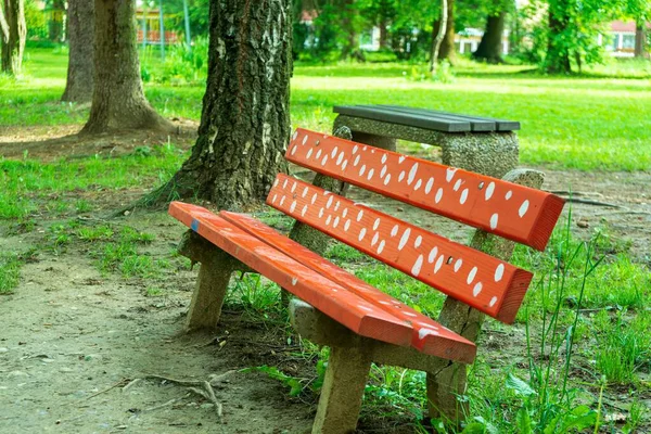 Banc Bois Dans Parc Ville — Photo