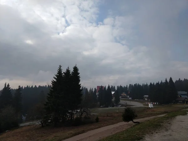 Güneşli Bir Günde Ormanda Sihirli Ağaçlar Slovakya — Stok fotoğraf