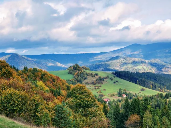 Meadow Med Trær Utsikt Til Fjell Slovakia – stockfoto