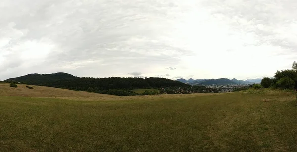 Belle Matinée Sur Prairie Avec Arbres Vue Slovaquie — Photo