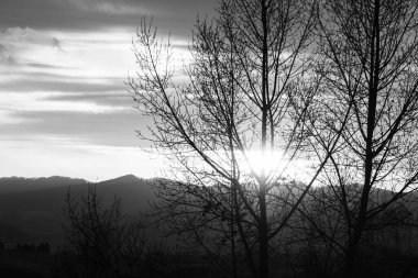 Şehirdeki binaların üzerinde gün doğumu ya da gün batımı. Slovakya