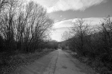 Slovakya 'daki güzel doğal manzara