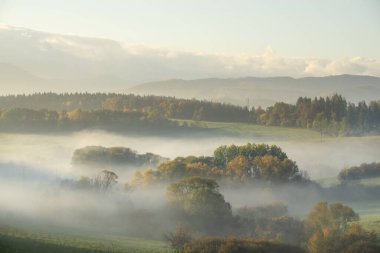 Ağaçlar ve manzaralı çayırda puslu bir sabah. Slovakya
