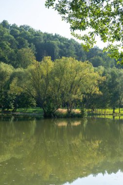 Doğanın arka planında güzel bir göl