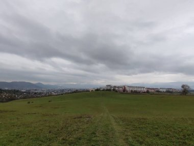 Arka planda binalar olan güzel bir manzara.