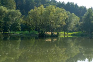 Doğanın arka planında güzel bir göl