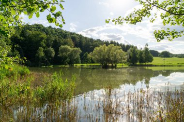 Doğanın arka planında güzel bir göl