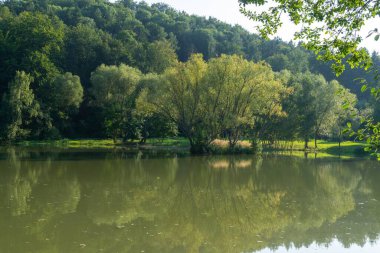 Doğanın arka planında güzel bir göl