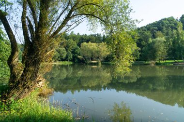 Doğanın arka planında güzel bir göl