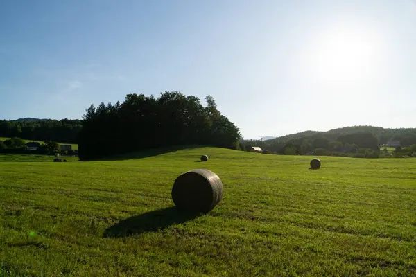 Verde Paesaggio Prato Montagna — Foto Stock