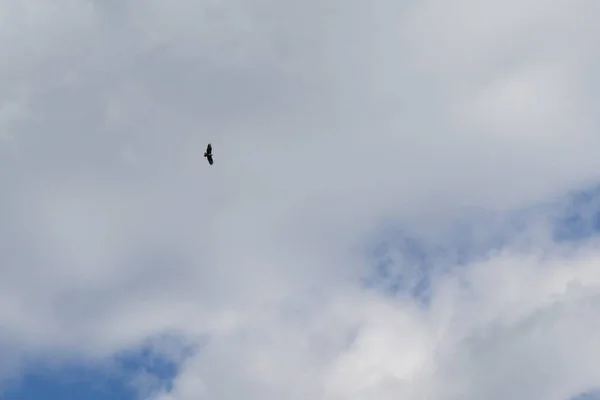 雲の日の時間帯の青空が — ストック写真