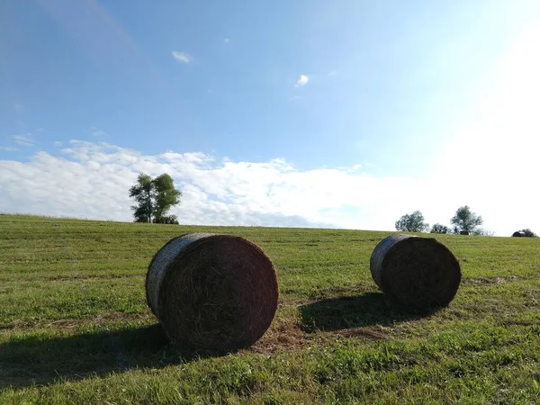 Ballots Foin Sur Prairie Pendant Automne Slovaquie — Photo