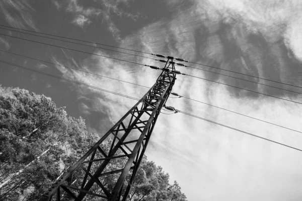 Electricity Pylon Wires Field — Stock Photo, Image