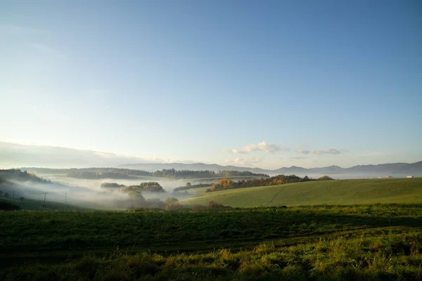 Misty Ochtend Weide Met Bomen Uitzicht Slowakije — Stockfoto