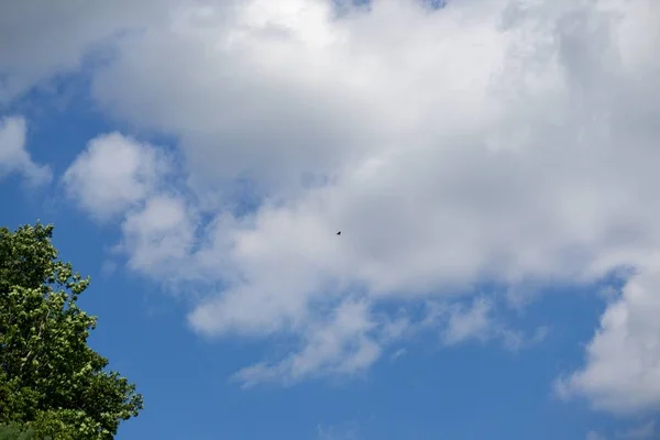 구름의 촬영푸른 — 스톡 사진