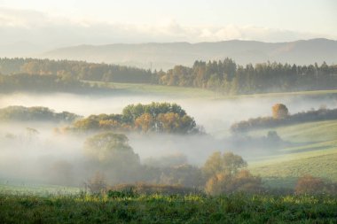 Ağaçlar ve manzaralı çayırda puslu bir sabah. Slovakya
