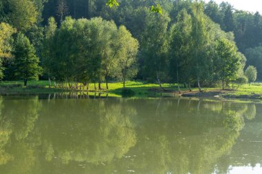 Doğanın arka planında güzel bir göl